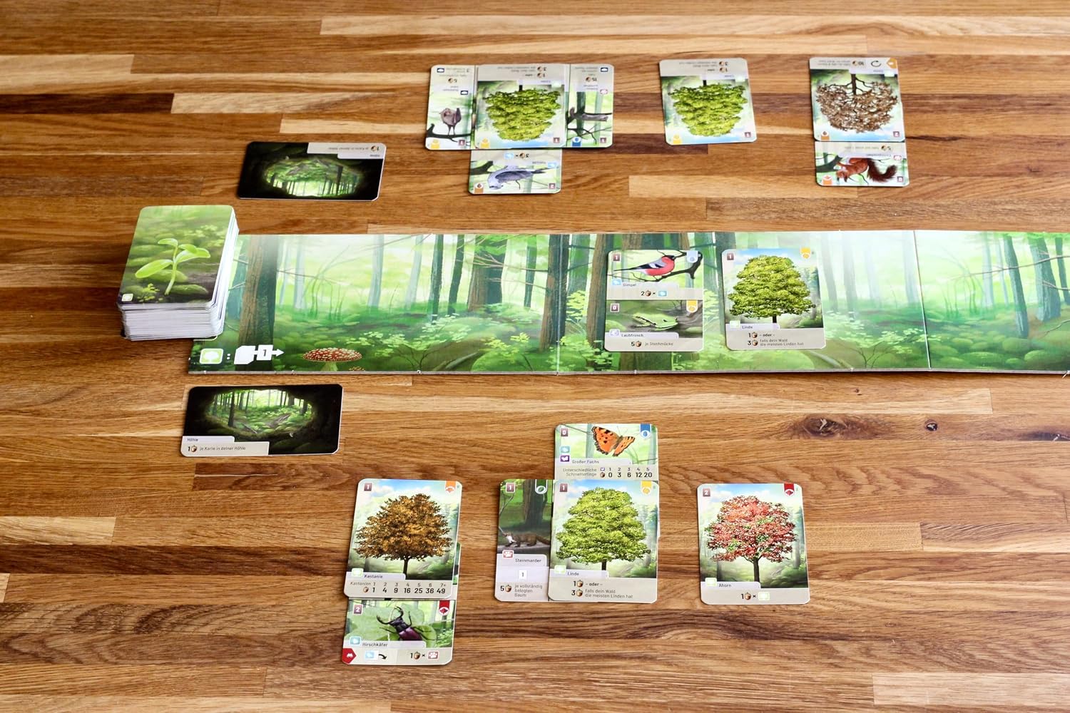 Forest Shuffle - Español - Imagen 4