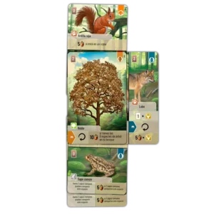Forest Shuffle - Español - Imagen 5