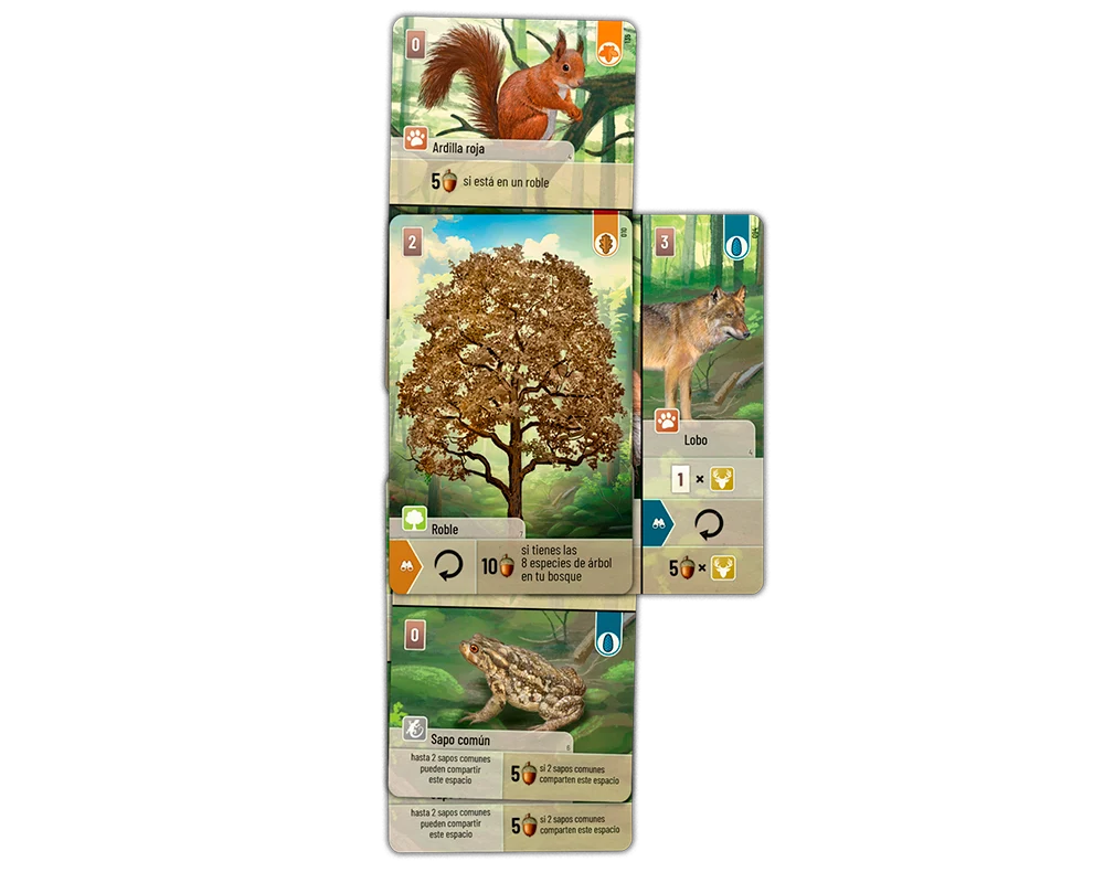 Forest Shuffle - Español - Imagen 5
